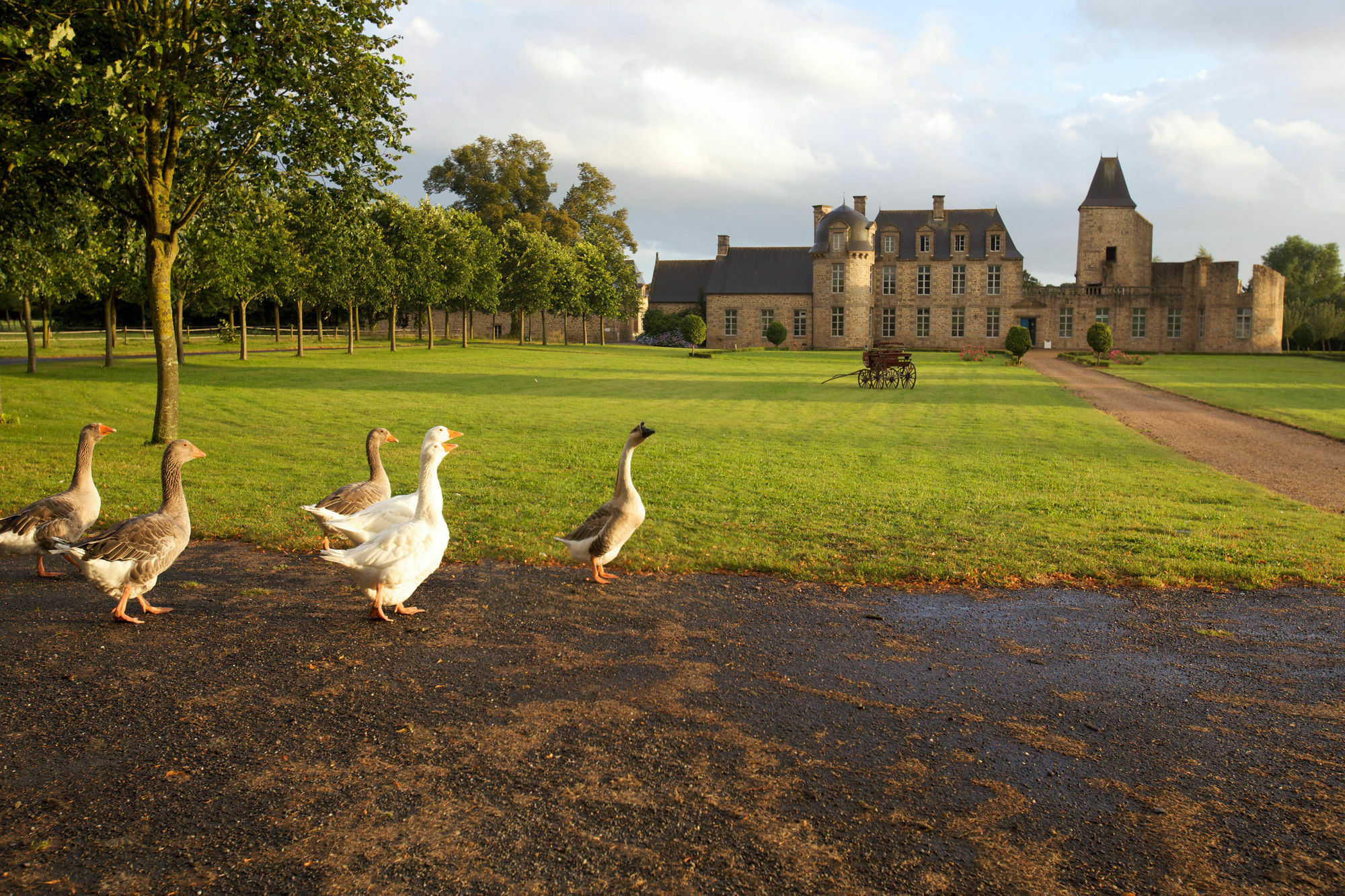 Chateau Du Bois-Guy Golf Parigné Exterior photo
